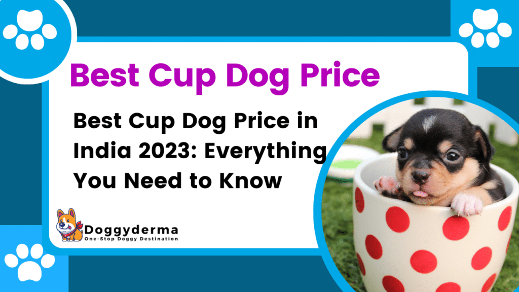 Best Cup Dog Price in India 2024: Everything You Need to Know