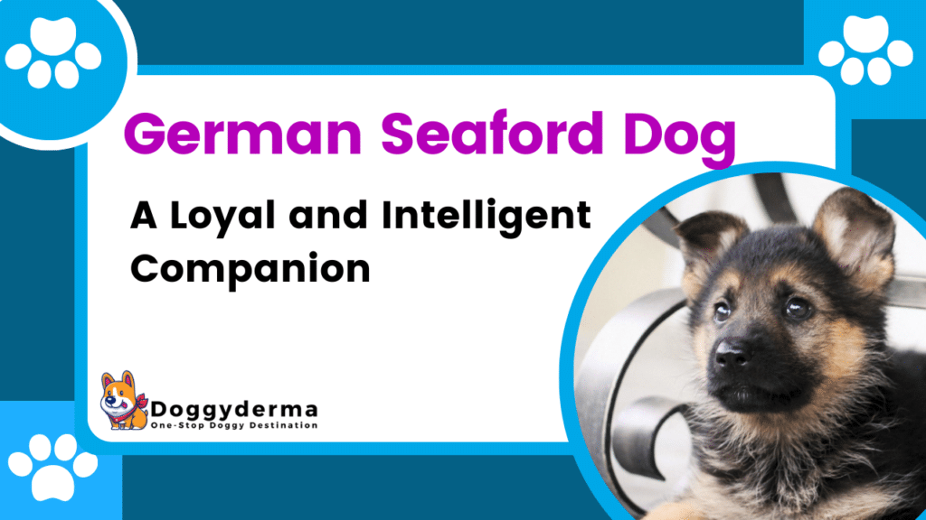 German Seaford Dog Puppy: A Loyal and Intelligent Companion