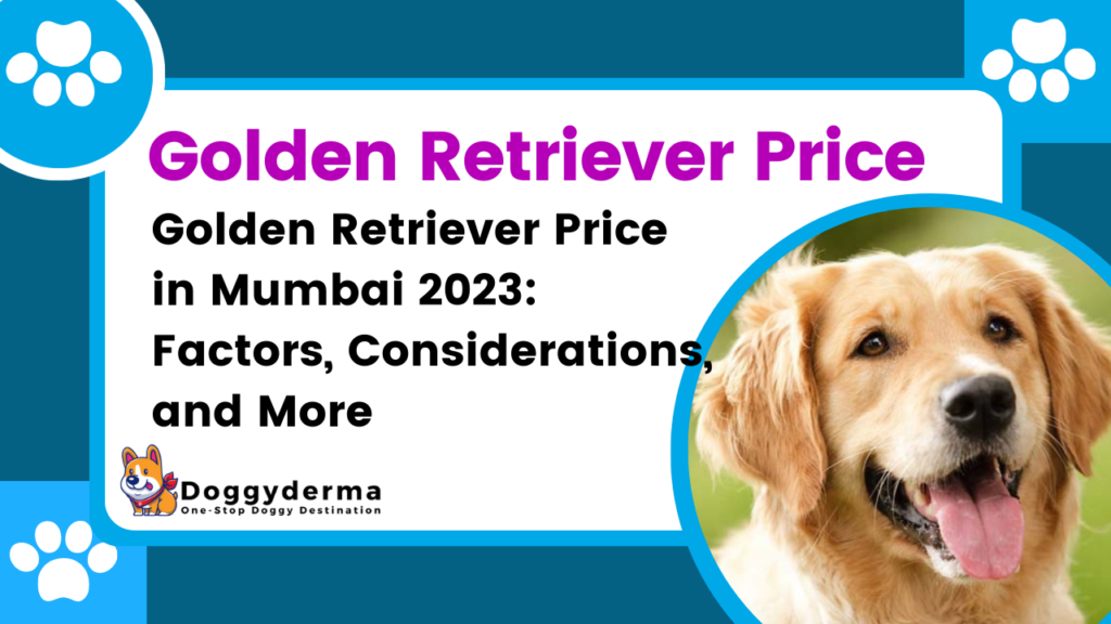 Golden Retriever Price in Mumbai