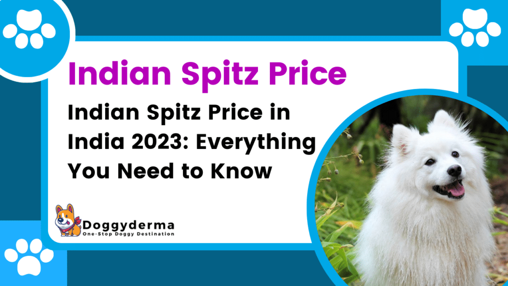 Indian Spitz Price in India 2023: Everything You Need to Know