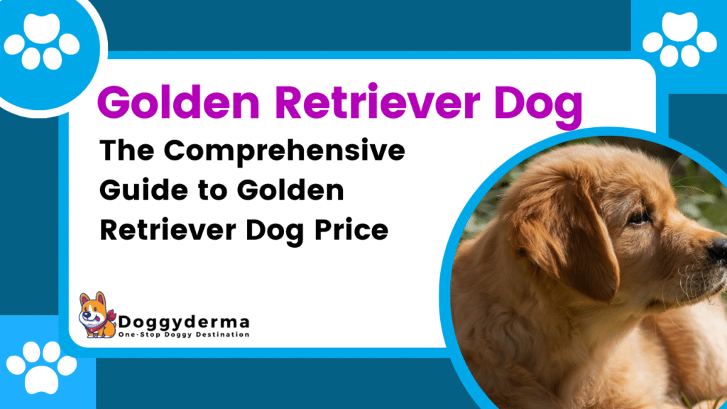 Golden Retriever Dog Price