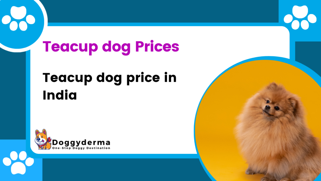 Teacup Dog Price In India 2023