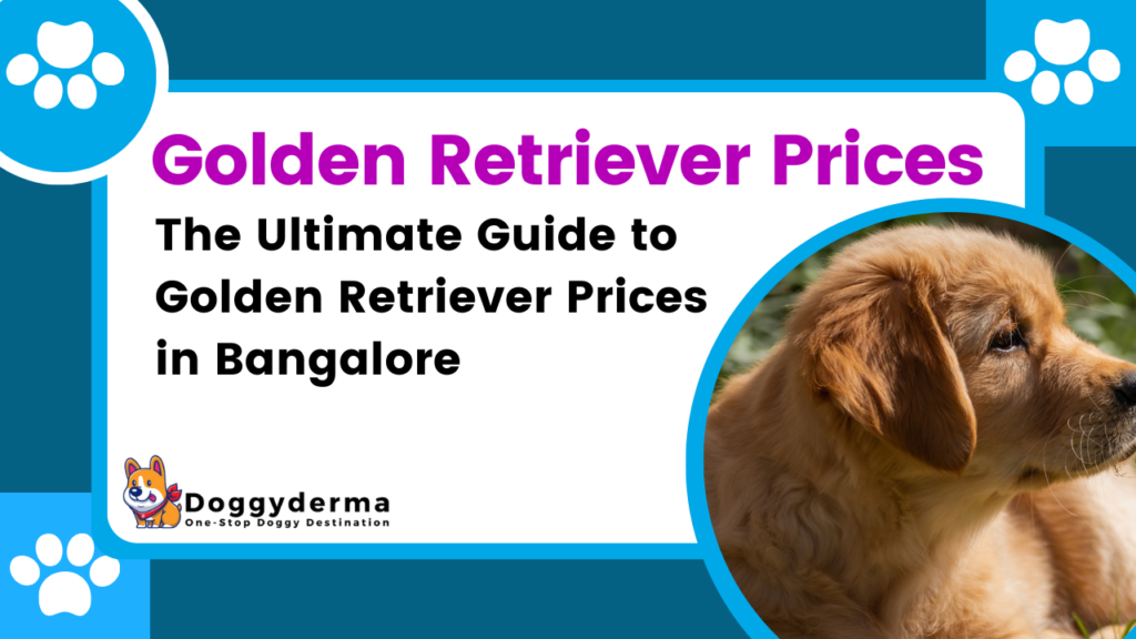 The Ultimate Guide to Golden Retriever Prices in Bangalore 2023
