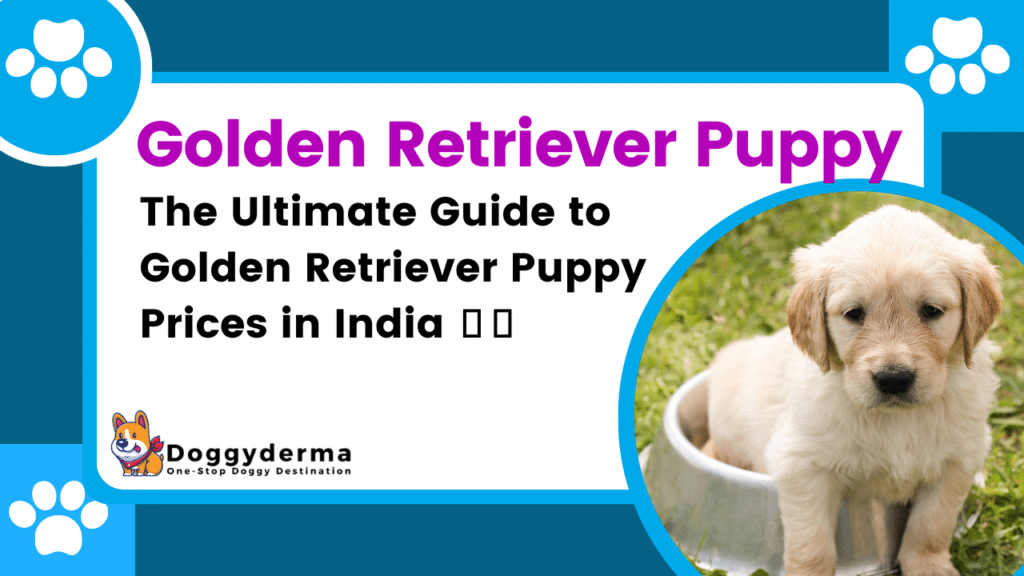 The Ultimate Guide to Golden Retriever Puppy Prices in India 2023🐾🐶