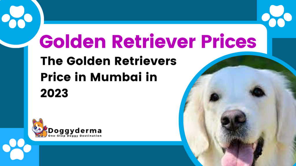 Golden Retrievers Price in Mumbai