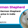 The German Shepherd price in India 2023