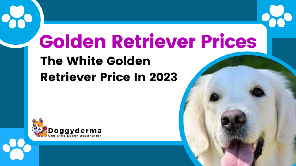 The Ultimate Guide to White Golden Retriever Price In India 2023