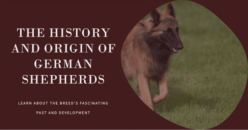 The German Shepherd price in India 2023