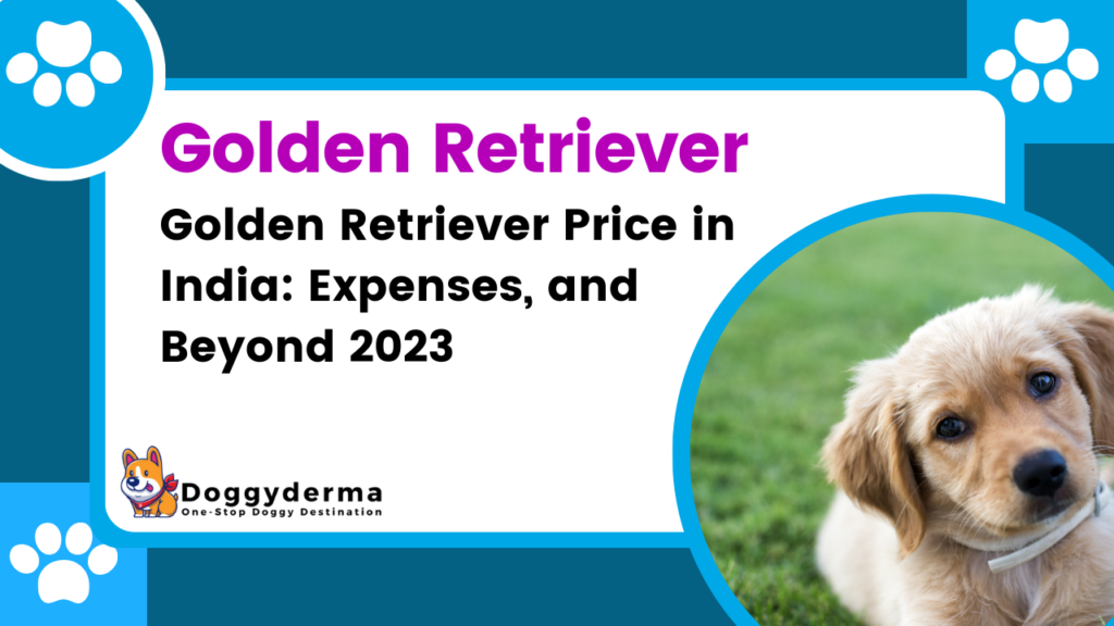 The Best Dog Golden Retriever Price in India 2023