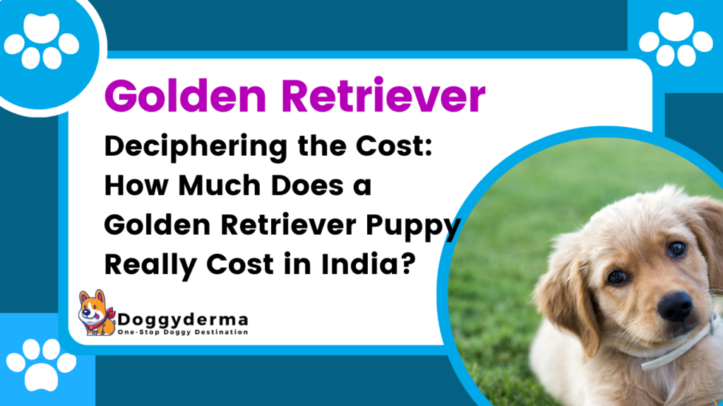Price Of Golden Retriever Puppy in India 2023